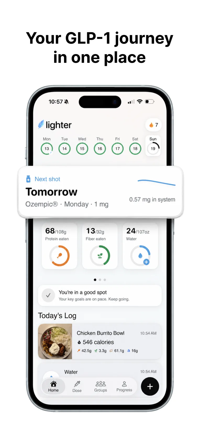 Lighter home screen showing the week, the next shot, and protein, fiber, and water rings.