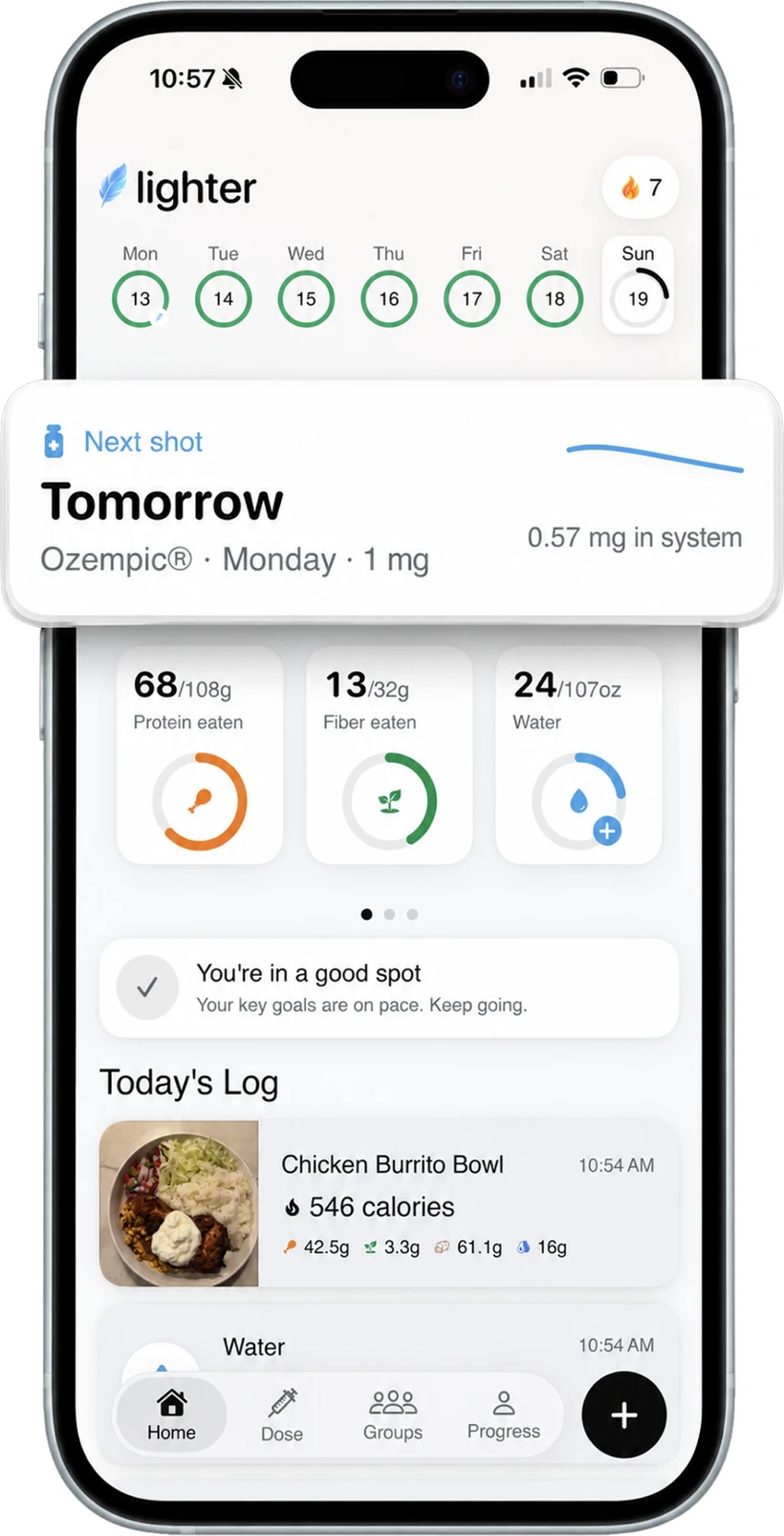The Lighter home screen: the next shot, medication level, a day streak, and today's protein, fiber, and water.